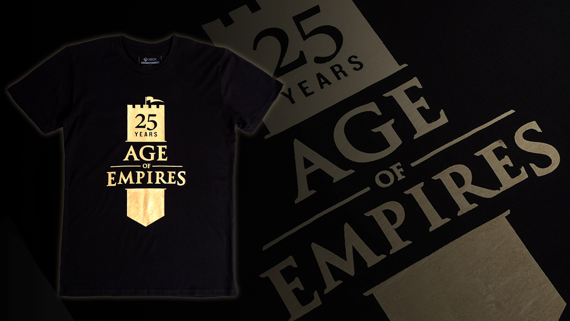 Age перевести. Age of Empires 25th Anniversary collection обложка.